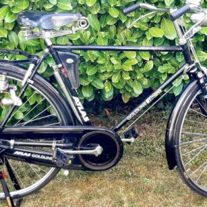 Velo ATLAS ROYAL, schwarz, mit Rahmentasche, im Garten