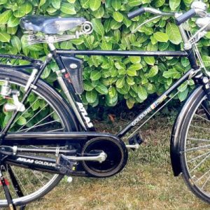 Velo ATLAS ROYAL im Garten, schwarz